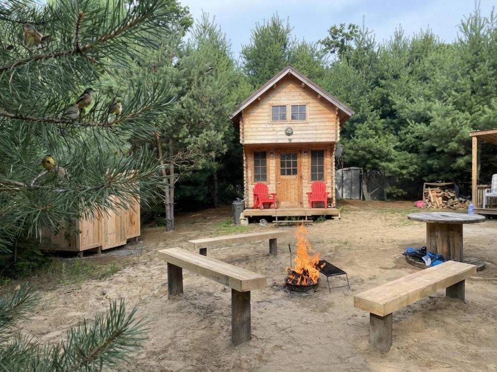 a log cabin with a picnic table and a fire at Cozy Woodland Bunkie Outdoor Shower WiFi in Simcoe
