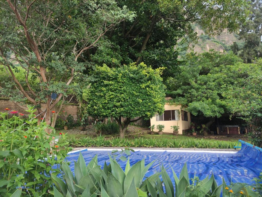 a swimming pool with blue water in a garden at Rincón de la Luna in Tepoztlán