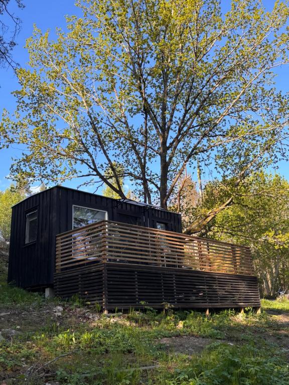 a black tiny house sitting on top of a field at Murrebo citystay in Örebro
