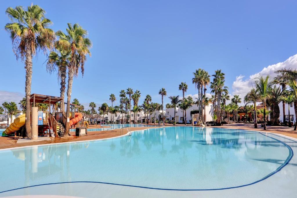 a large swimming pool with palm trees in a resort at Oasis Duna _ Casa Mate Pool in Corralejo