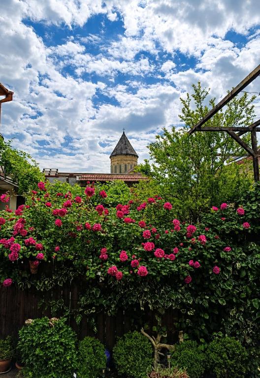 a garden with pink roses on a wooden fence at VILLA SABA WITH TWO BEDROOMS- სასტუმრო საბა in Mtskheta