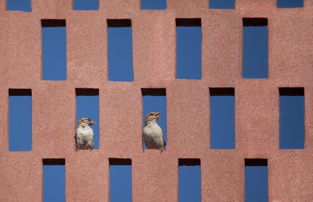 Fotografie z fotogalerie ubytování RAAS Jodhpur v destinaci Džódhpur