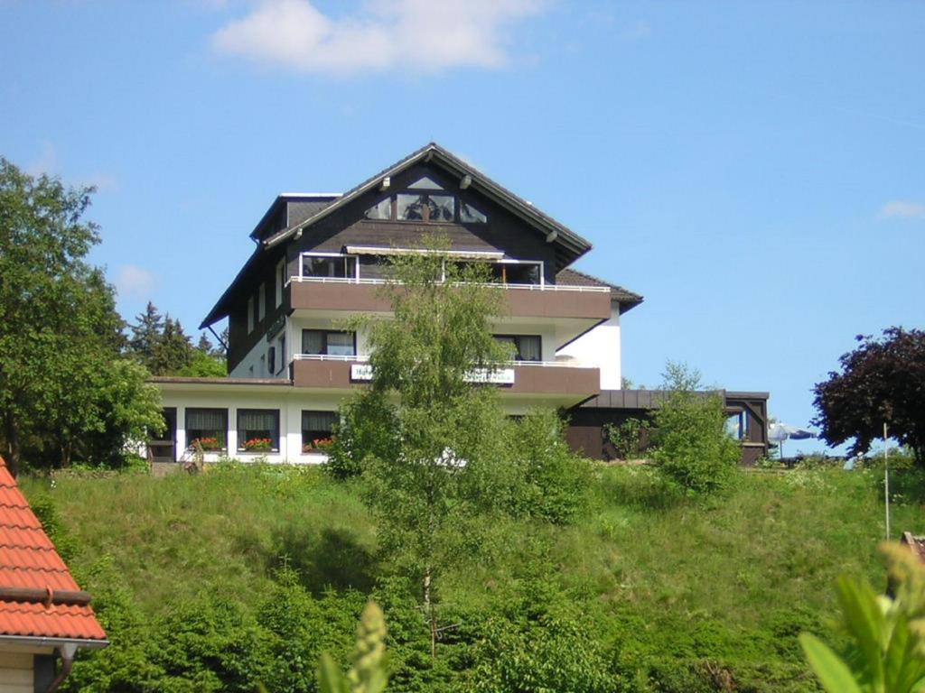 a building on top of a grassy hill at Hotel zur Schmiede in Altenau
