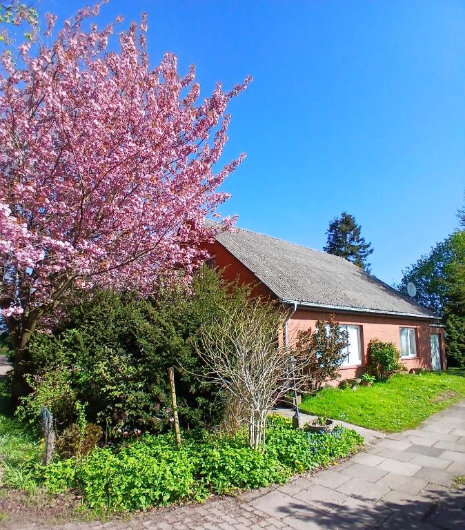 a house with a flowering tree in front of it at Haus am Kirschbaum in Belum