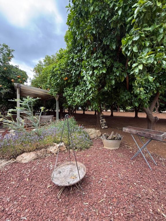 a garden with a swing and a bench and trees at צימרים בצפון - קאמפ דיוויד in Sheʼar Yashuv