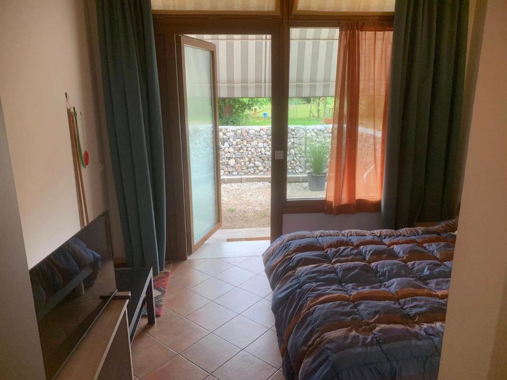 Agriturismo il Podere Vedelago con San Bernardo, Alpaca e una Pentola di cose da scoprire