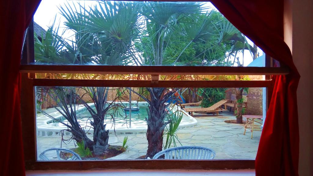 Zahrada ubytování Diani Hostel