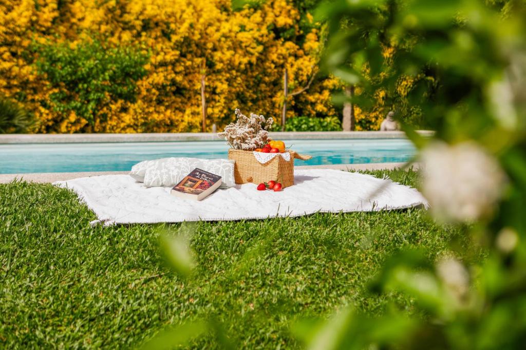Casa da Lamela Pool & Garden