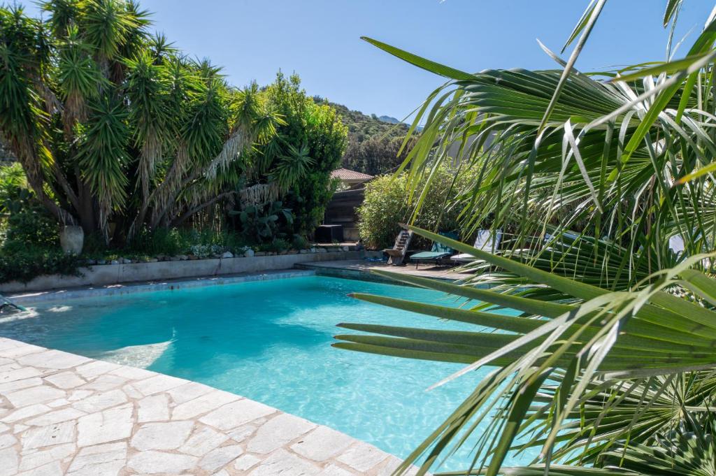 a swimming pool in a yard with palm trees at Le Refuge in Patrimonio