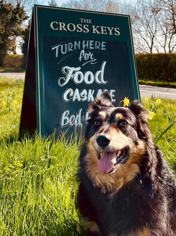 a dog laying in the grass in front of a sign at The Cross Keys in Worthington