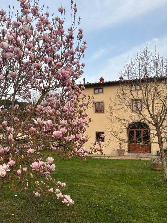 Agriturismo Le Pozze - Appartement De Luxe 2 Chambres Avec Vue Sur Jardin