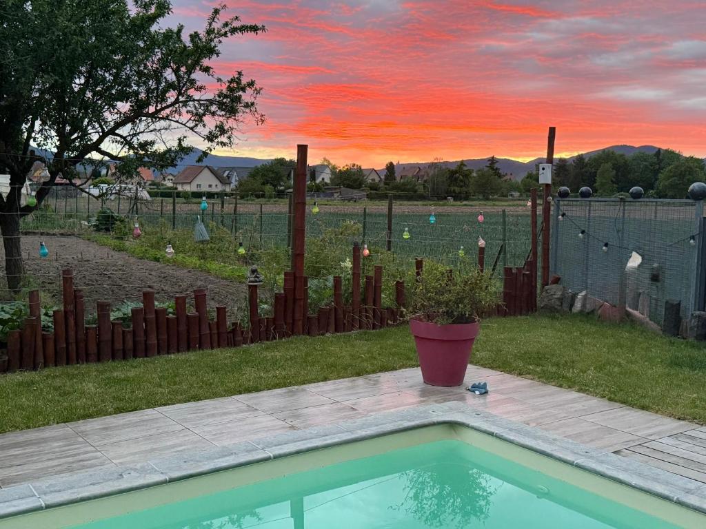 a pool with a potted plant and a sunset at Studio la clé des champs in Sélestat
