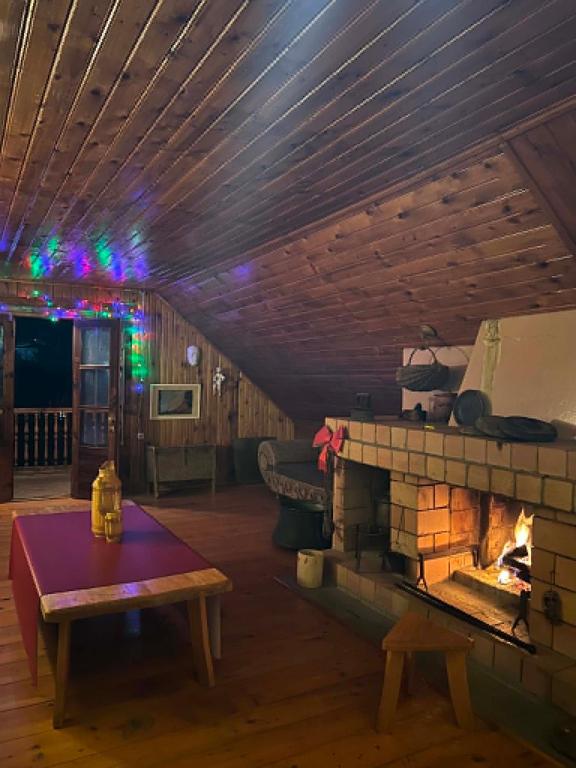 Gallery image of Vacation home Bagira in Oni
