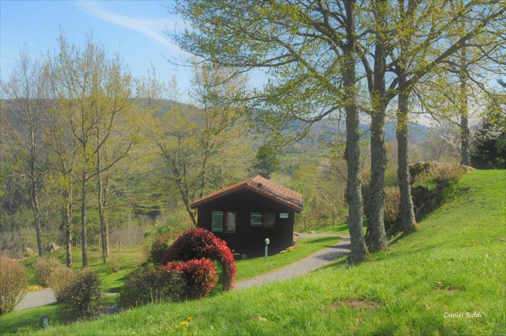 a small cabin on a grassy hill with a pathway at Les Noës - Parc des chalets in Saint-Rirand