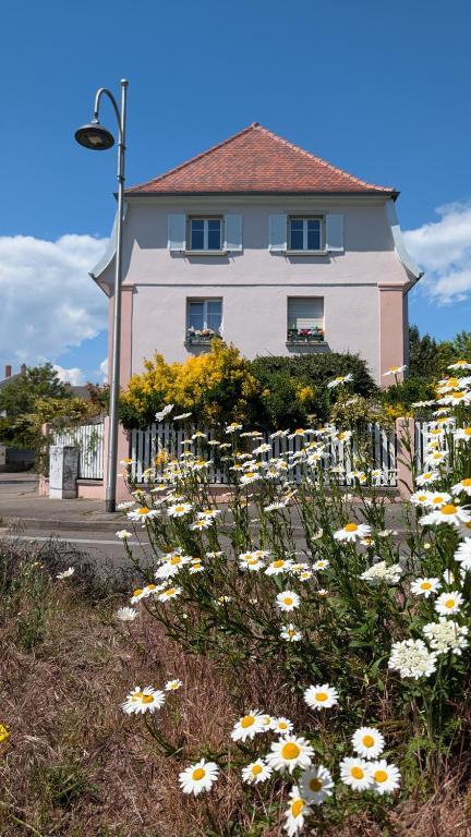 Maison 1934 - Colmar Station & Free Parking – photo 9