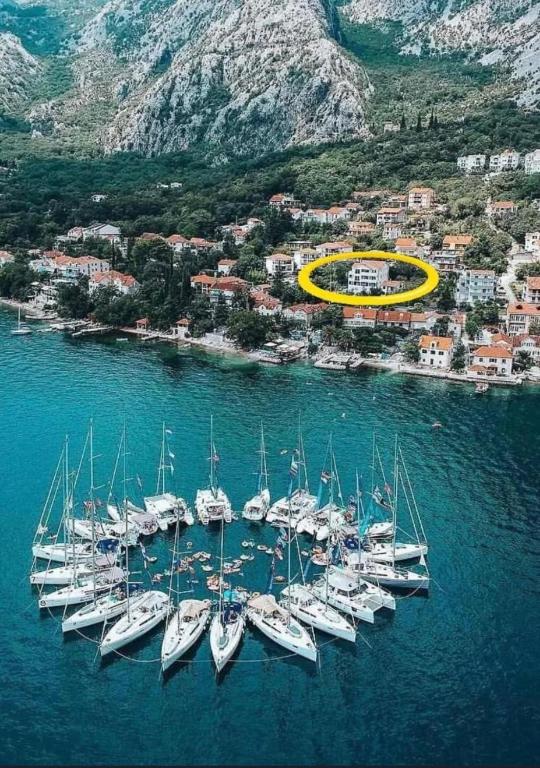 a group of boats are parked in the water at D&N Adriatic Nest in Kotor