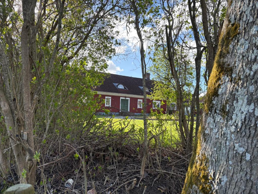 a house through the trees in front of a yard at Tant Märtas rum & skafferi in Köinge