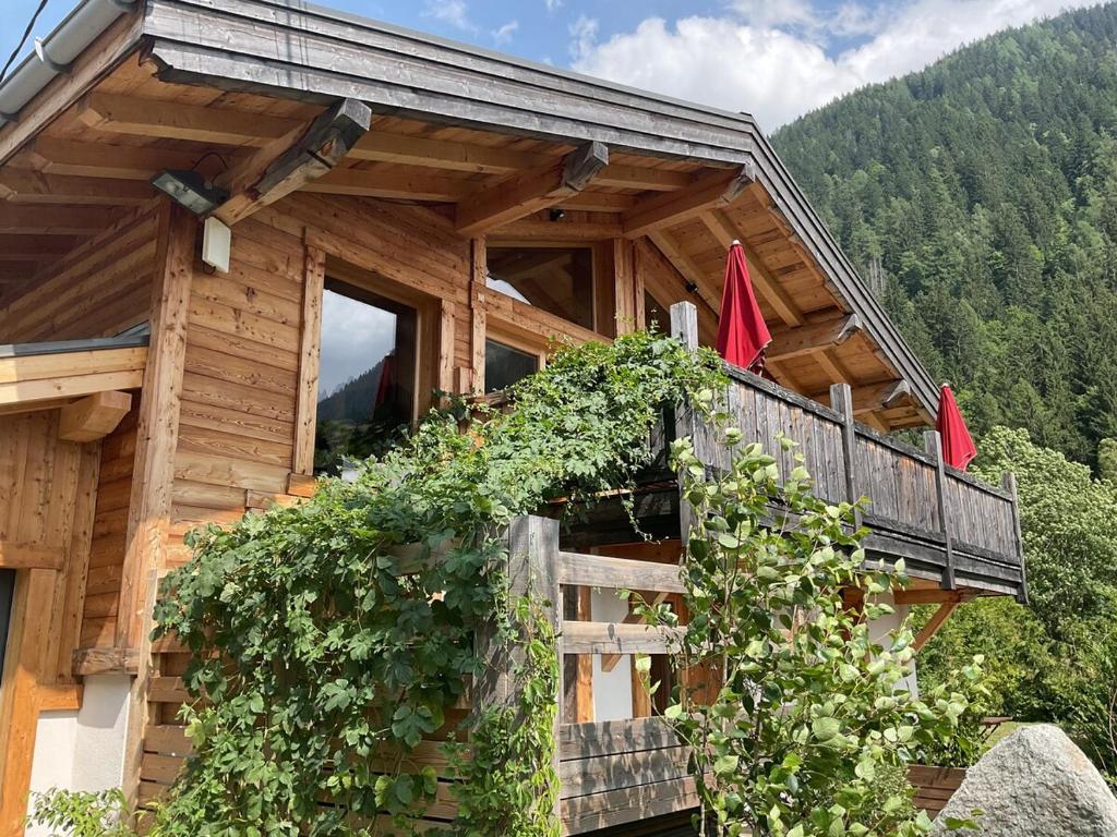 Chalet Mont-Blanc & SPA