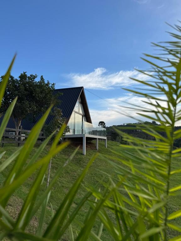 a house with glass walls and a bench in the grass at Sky chalé - Refúgio Da Lua in Ametista do Sul