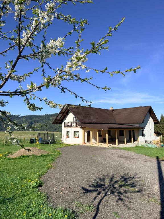 a white house with a black roof at Casa Albă in Vatra Moldoviţei