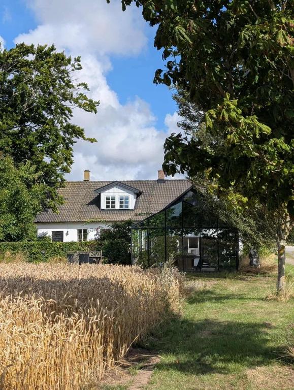 a white house with a field of grass at Villa Valdemar in Hammenhög