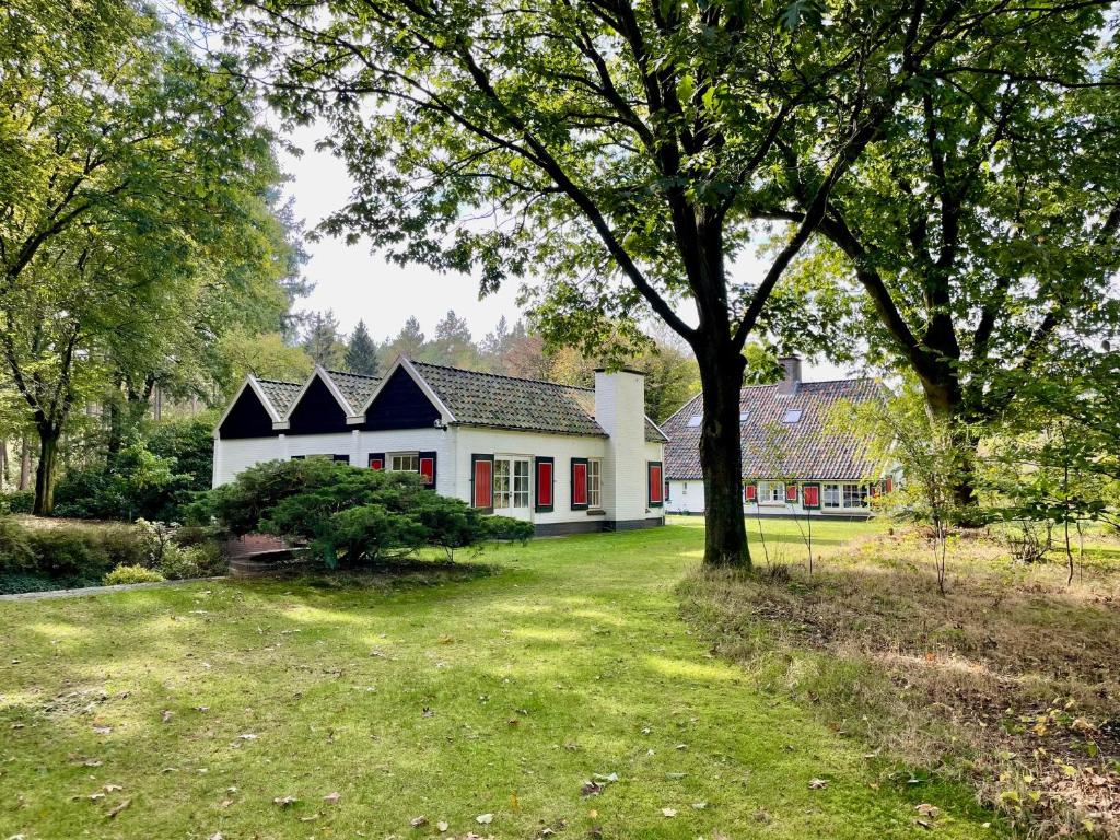 a white house with red doors and a tree at Gastenhuis Deurnink in Vorden