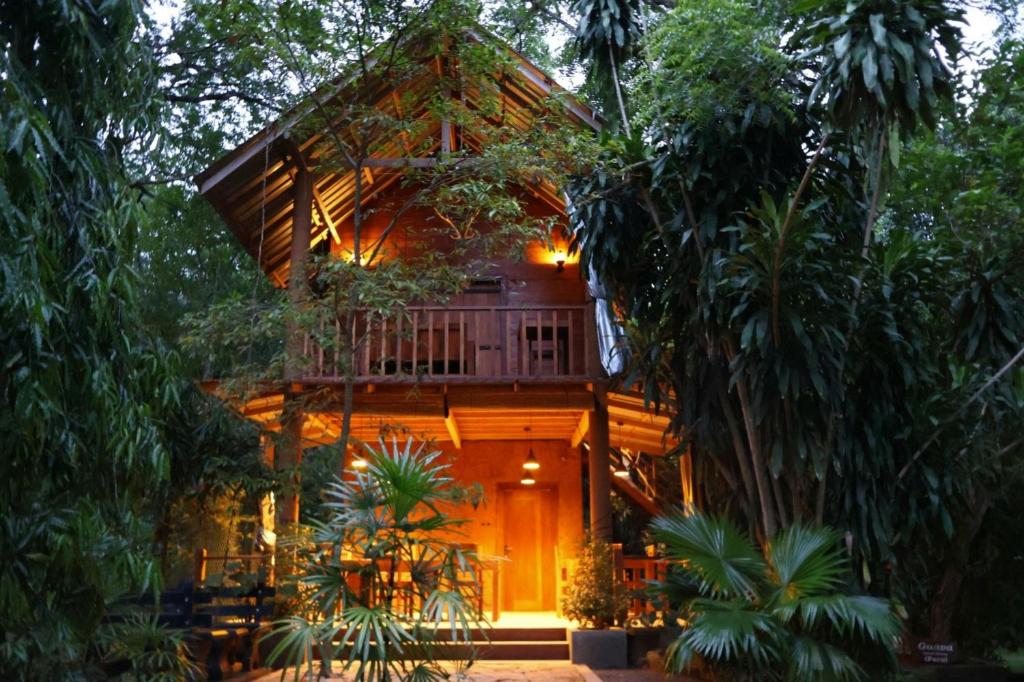 a tree house in the middle of the forest at Private Organic House in Udawalawe