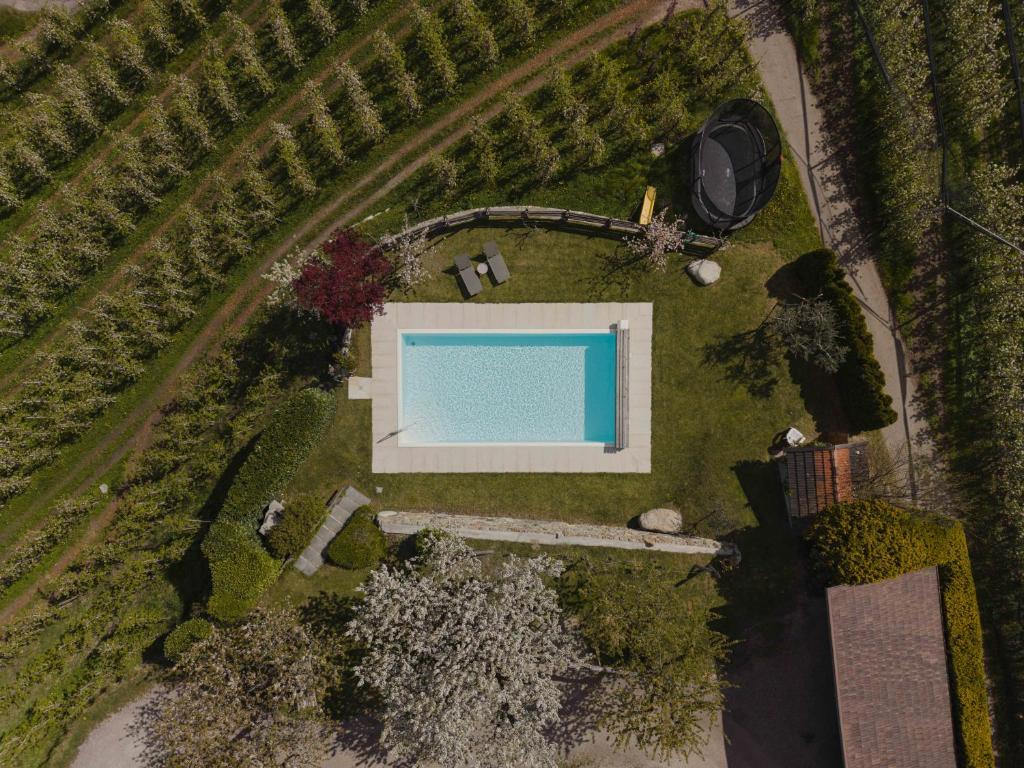 an overhead view of a swimming pool in a field at Bucherhof in Marlengo