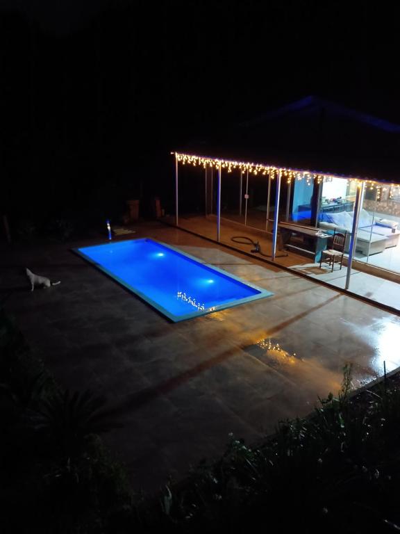a swimming pool at night with a dog next to it at La casa de vidro in Tijucas