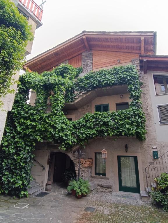 a house with ivy on the side of it at Foresteria Traversi in Berbenno di Valtellina