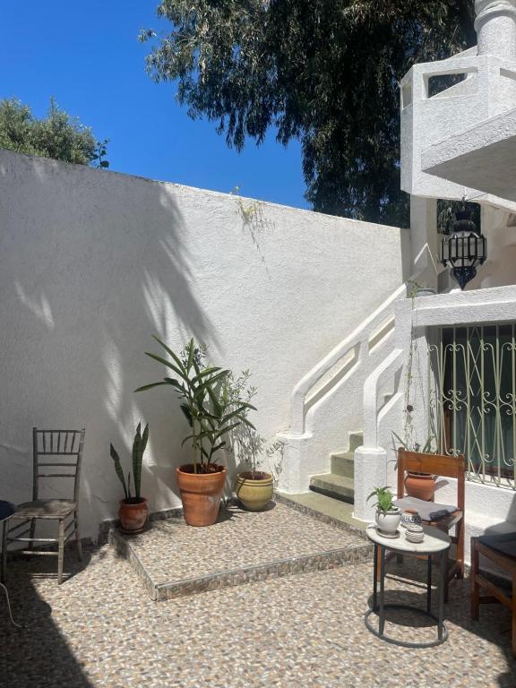 a patio with chairs and potted plants next to a wall at Syrah Home in Tangier