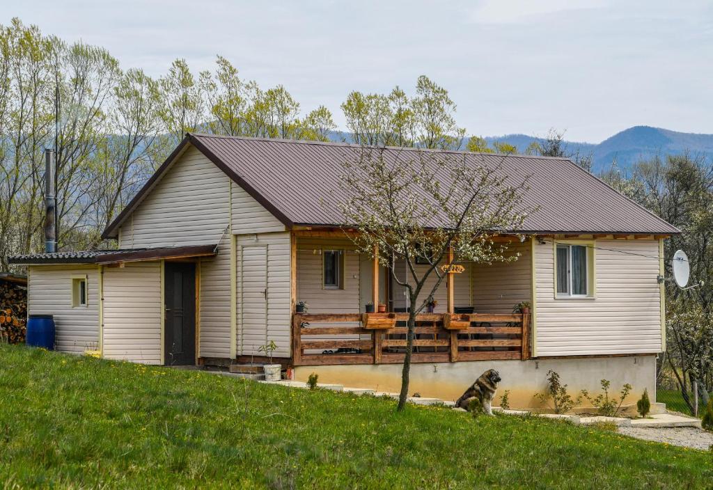 ein Haus mit einem Holzzaun davor in der Unterkunft Cabana IBU in Bumbueşti