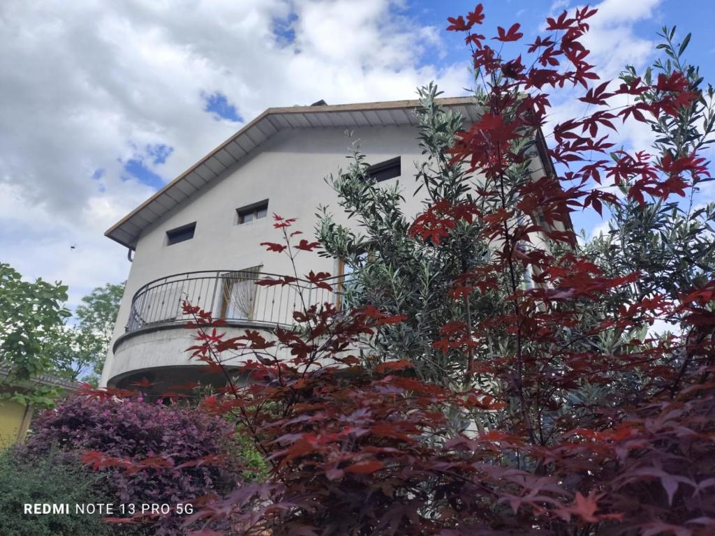 a building with a tree in front of it at Casa In Fiore in Mese