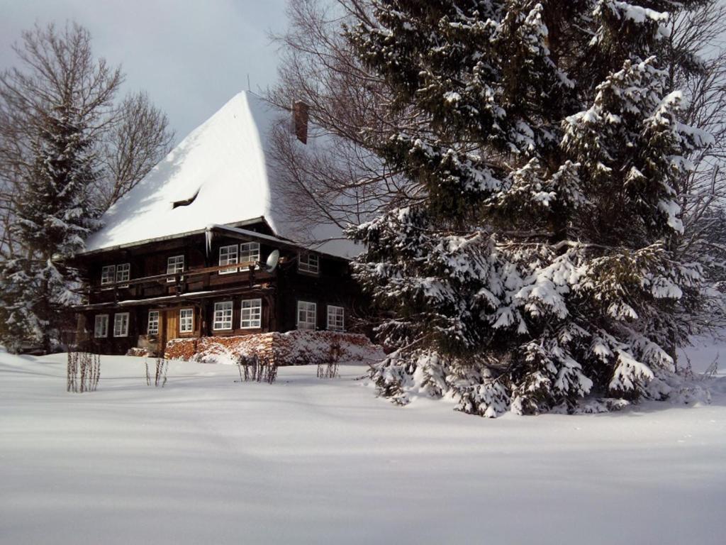a snow covered house with a tree in front of it at Romantisches Schwarzwälder Bauernhäuschen Hüsli am Griesbachhof in Titisee-Neustadt