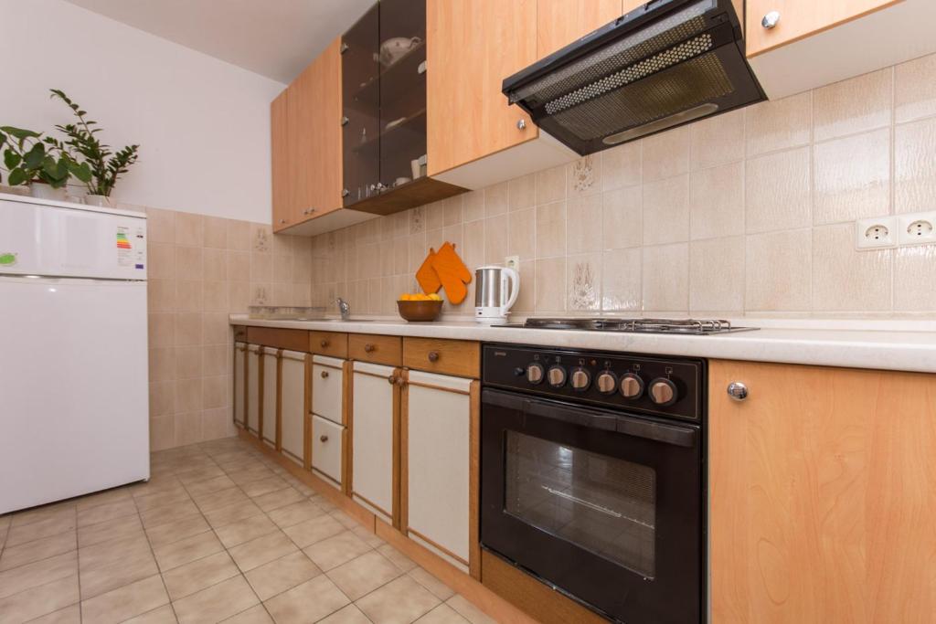 Kuchyň nebo kuchyňský kout v ubytování Apartmani Gaube