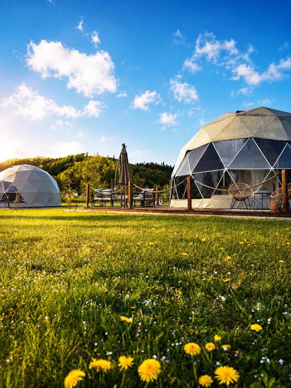 two domed tents in a field with flowers at Glamping nad Sanem in Krzemienna