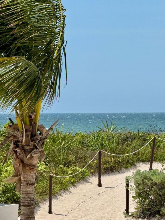 Eine Palme an einem Sandstrand mit dem Meer in der Unterkunft Telchac Ocean Suite in Xtampú