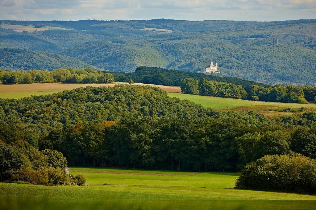 a green field with trees and a castle in the distance at Ferienhaus Hofgut von Schaewen in Waldesch