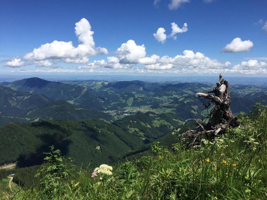 Paesaggio naturale nelle vicinanze dell'affittacamere