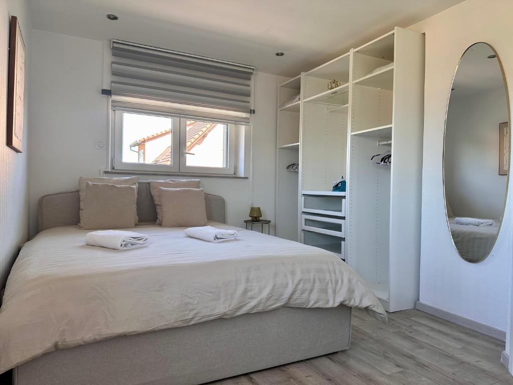 Magnifique Logement AIR CONDITIONING 5 min Colmar parking wifi – photo 2