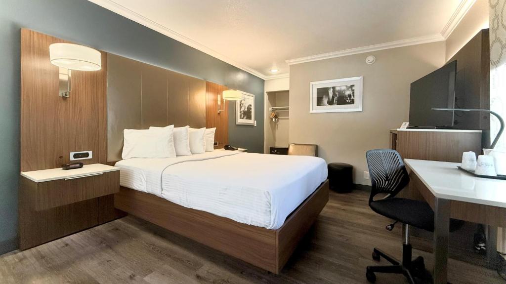 Best Western Hollywood Plaza Hotel - Walk of Fame Film City LA photo
