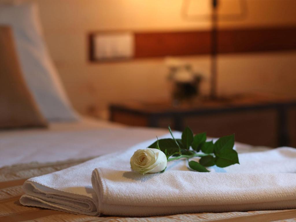 Garni Hotel Zavicaj - Resim 18