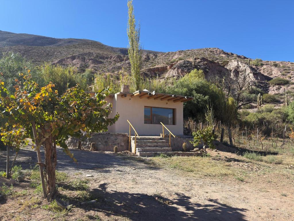a small house in the middle of a field at El Rincón de la Quebrada in Tilcara