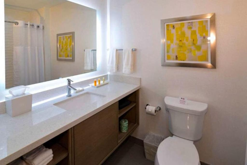 Comfort Inn & Suites Houston I-45 North - IAH - King Suite - Non-Smoking
