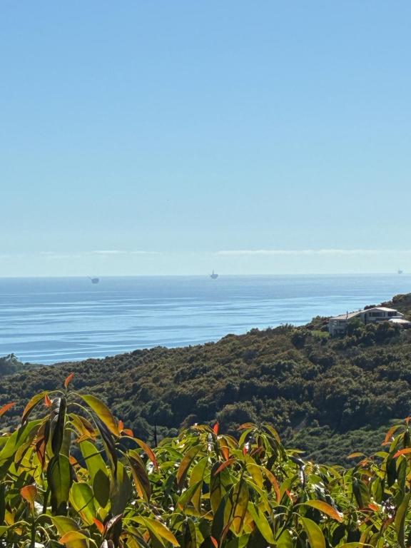a view of the ocean with boats in the distance at The Tack Room in Naples