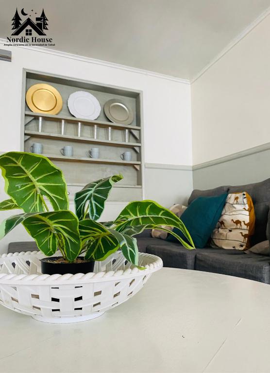 a white table with a plant in a white basket at Taltal - Casa Nordic in Taltal