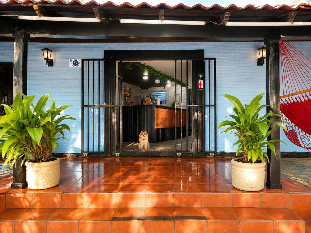 a dog sitting in the doorway of a building at hotel Oasis Managua Experience - HOME in Managua
