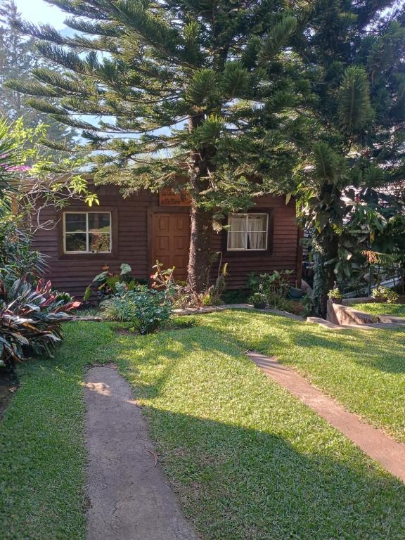 a house with a tree in front of a yard at El Nido de Aguila in Ayutepeque