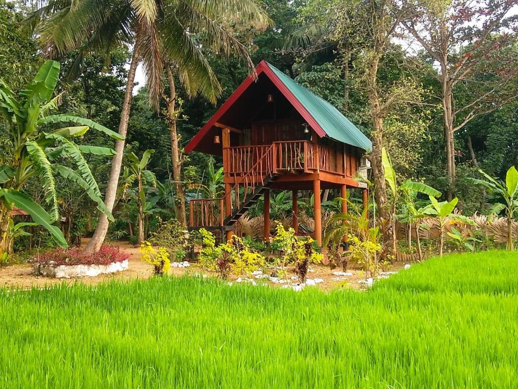 a house in the middle of a field of grass at The Rock & Paddy Resort in Sigiriya