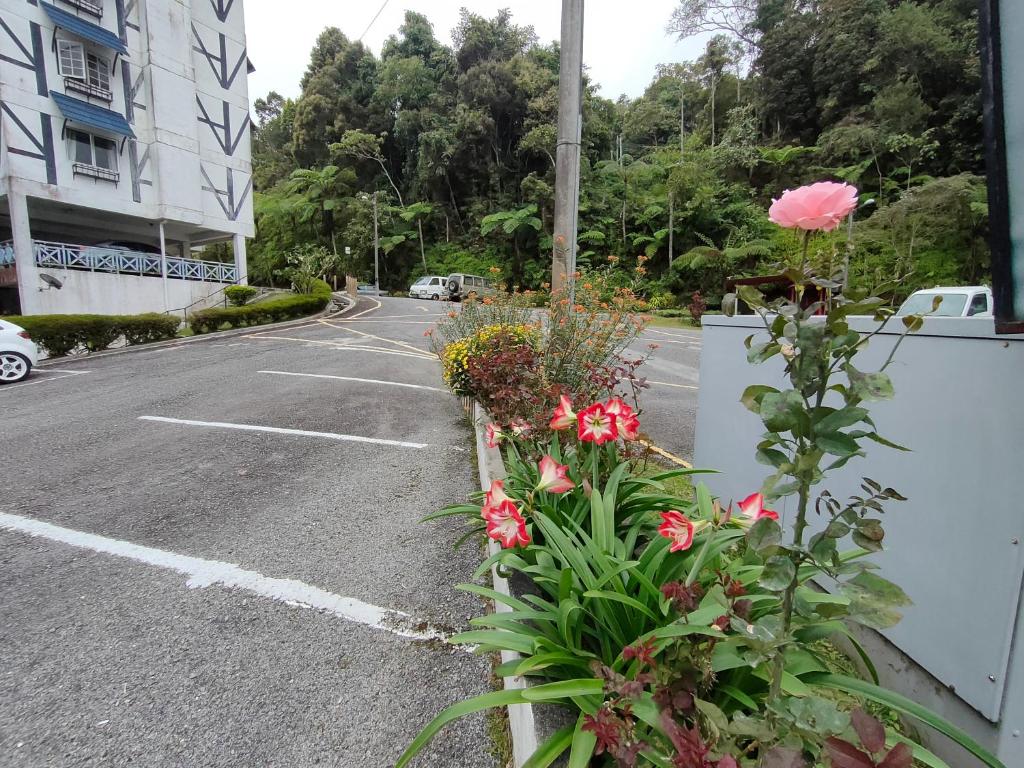 Desa Anthurium Apartment, Tanah Rata (harga dikemas kini 2026)
